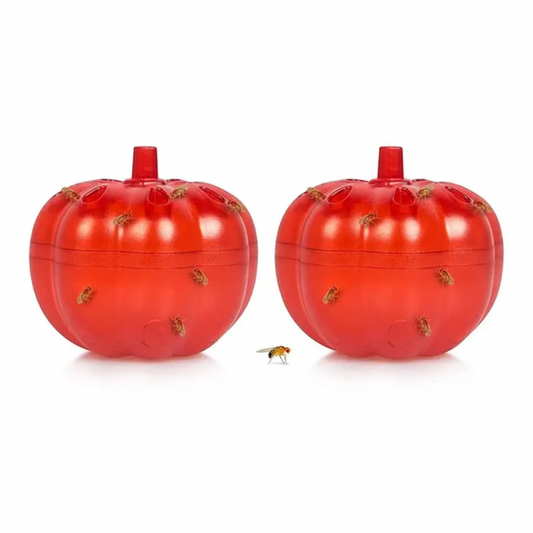 gnat trap catcher fruit Home